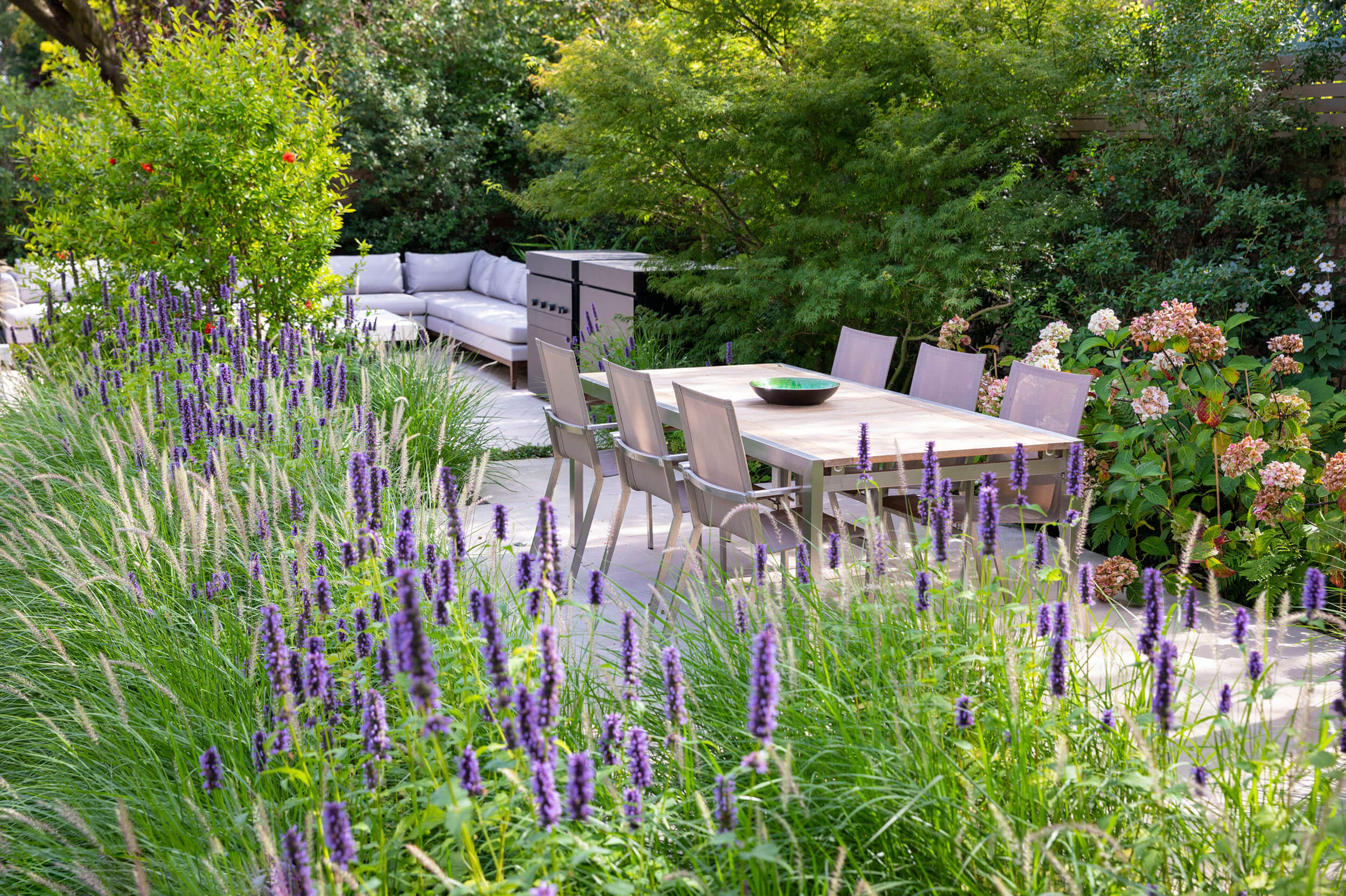 Lavendar Garden Space